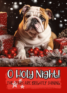 English Bulldog O...