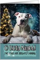 Dogo Argentino O Holy Night Christmas card