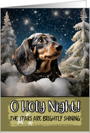 Dachshund O Holy...