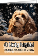 Cockapoo O Holy Night Christmas card