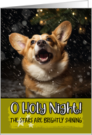 Corgi O Holy Night...