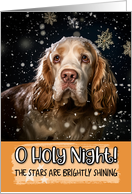 Clumber Spaniel O Holy Night Christmas card