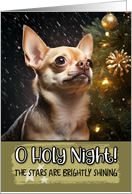 Chihuahua O Holy...