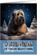 Briard O Holy Night Christmas card
