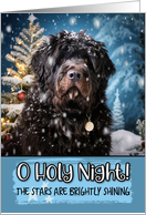 Bouvier O Holy Night Christmas card