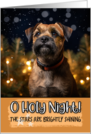 Border Terrier O Holy Night Christmas card