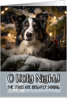 Border Collie O Holy Night Christmas card
