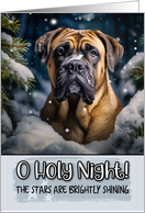 Boerboel O Holy Night Christmas card