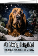 Bloodhound O Holy Night Christmas card