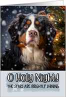 Bernese Mountain Dog O Holy Night Christmas card