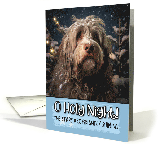 Bergamasco O Holy Night Christmas card (1788230)