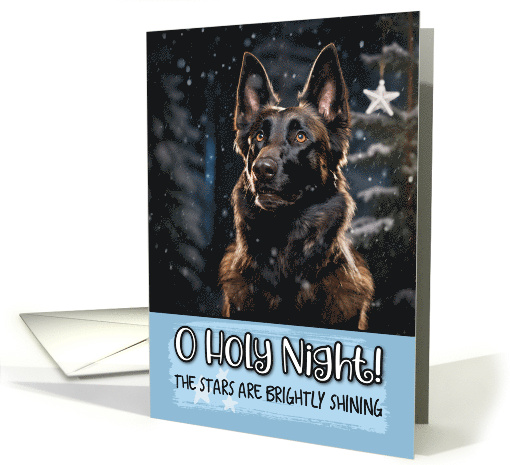 Belgian Shepherd O Holy Night Christmas card (1788232)