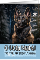 Belgian Shepherd O Holy Night Christmas card