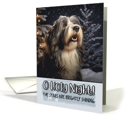 Bearded Collie O Holy Night Christmas card (1788236)
