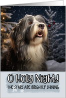Bearded Collie O Holy Night Christmas card