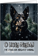 Australian Kelpie O Holy Night Christmas card