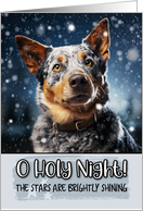 Australian Cattle Dog O Holy Night Christmas card