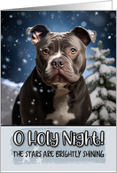 American Bully O Holy Night Christmas card