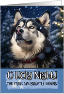 Alaskan Malamute O Holy Night Christmas card