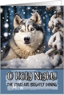 Alaskan Husky O Holy Night Christmas card