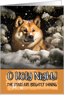 Akita O Holy Night Christmas card