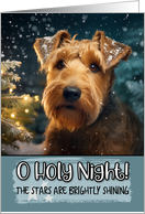 Airdale Terrier O Holy Night Christmas card