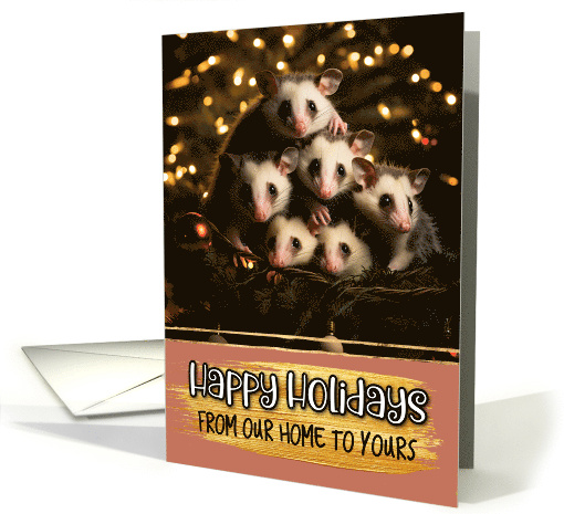 Opossum Family From Our Home to Yours Christmas card (1788760)