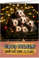 Opossum Family From...