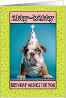 Happy Birthday...