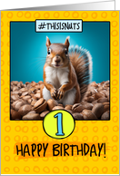 1 Year Old Happy Birthday Squirrel and Nuts card