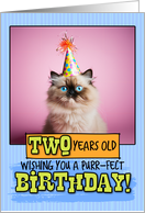 2 Years Old Happy Birthday Himalayan Cat card