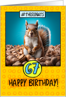 67 Years Old Happy Birthday Squirrel and Nuts card