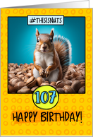 107 Years Old Happy Birthday Squirrel and Nuts card