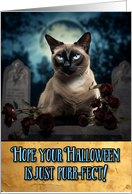 Halloween siamese Cat Cemetery card