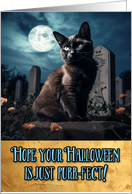 Halloween Black Cat Cemetery card