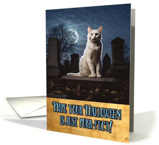 Halloween white Cat Cemetery card (1792974)