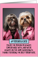 Thank You Friend Shih Tzus in Pink Leather card