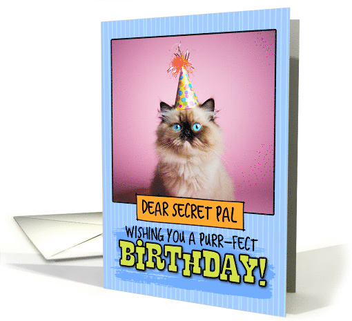 Secret Pal Happy Birthday Himalayan Cat card (1793144)