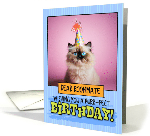 Roommate Happy Birthday Himalayan Cat card (1793146)