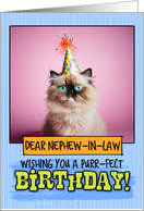 Nephew in Law Happy Birthday Himalayan Cat card