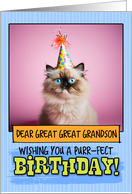 Great Great Grandson Happy Birthday Himalayan Cat card