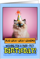Great Great Grandma Happy Birthday Himalayan Cat card