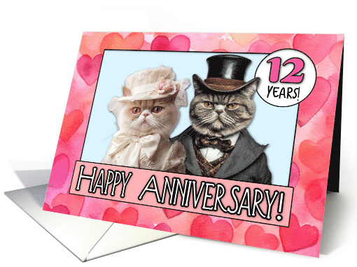 12 Years Wedding Anniversary Cat Bride and Groom card (1793308)