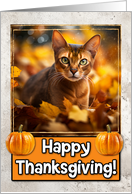 Abyssinian Cat Happy Thanksgiving card