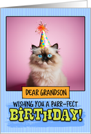 Grandson Happy Birthday Himalayan Cat card