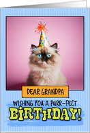 Grandpa Happy Birthday Himalayan Cat card
