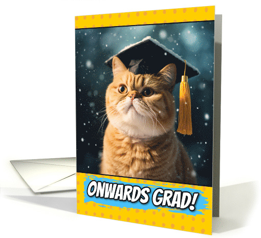 Congratulation Winter Graduation College Cat card (1794072)