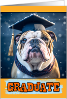 Congratulation Winter Graduation College Bulldog card