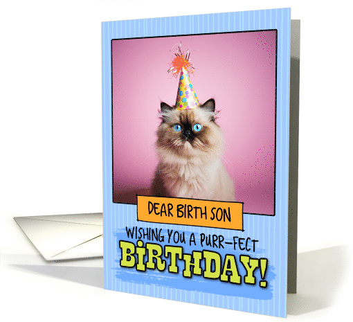 Birth Son Happy Birthday Himalayan Cat card (1794258)