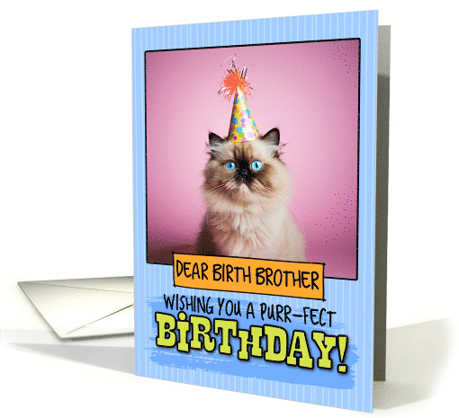 Birth Brother Happy Birthday Himalayan Cat card (1794266)